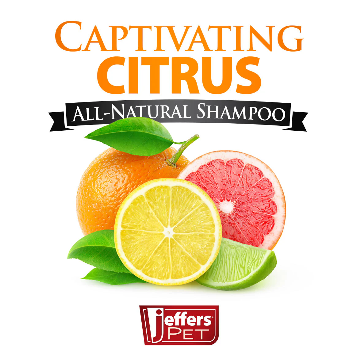 Captivating Citrus Shampoo for Dogs and Cats - Buy Pet Shop