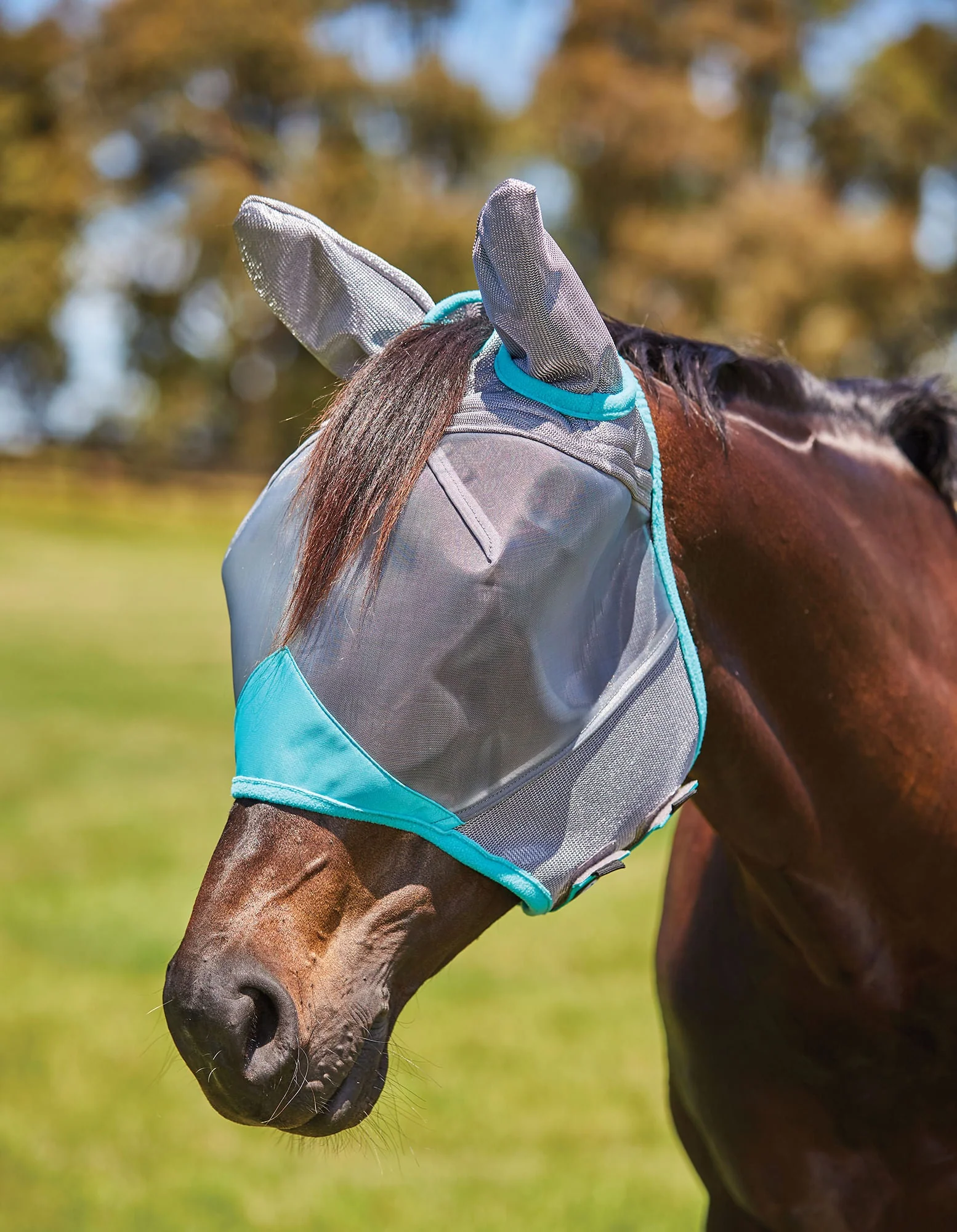Weatherbeeta ComFITec Deluxe Fine Mesh Horse Fly Mask with Ears - Buy Pet Shop