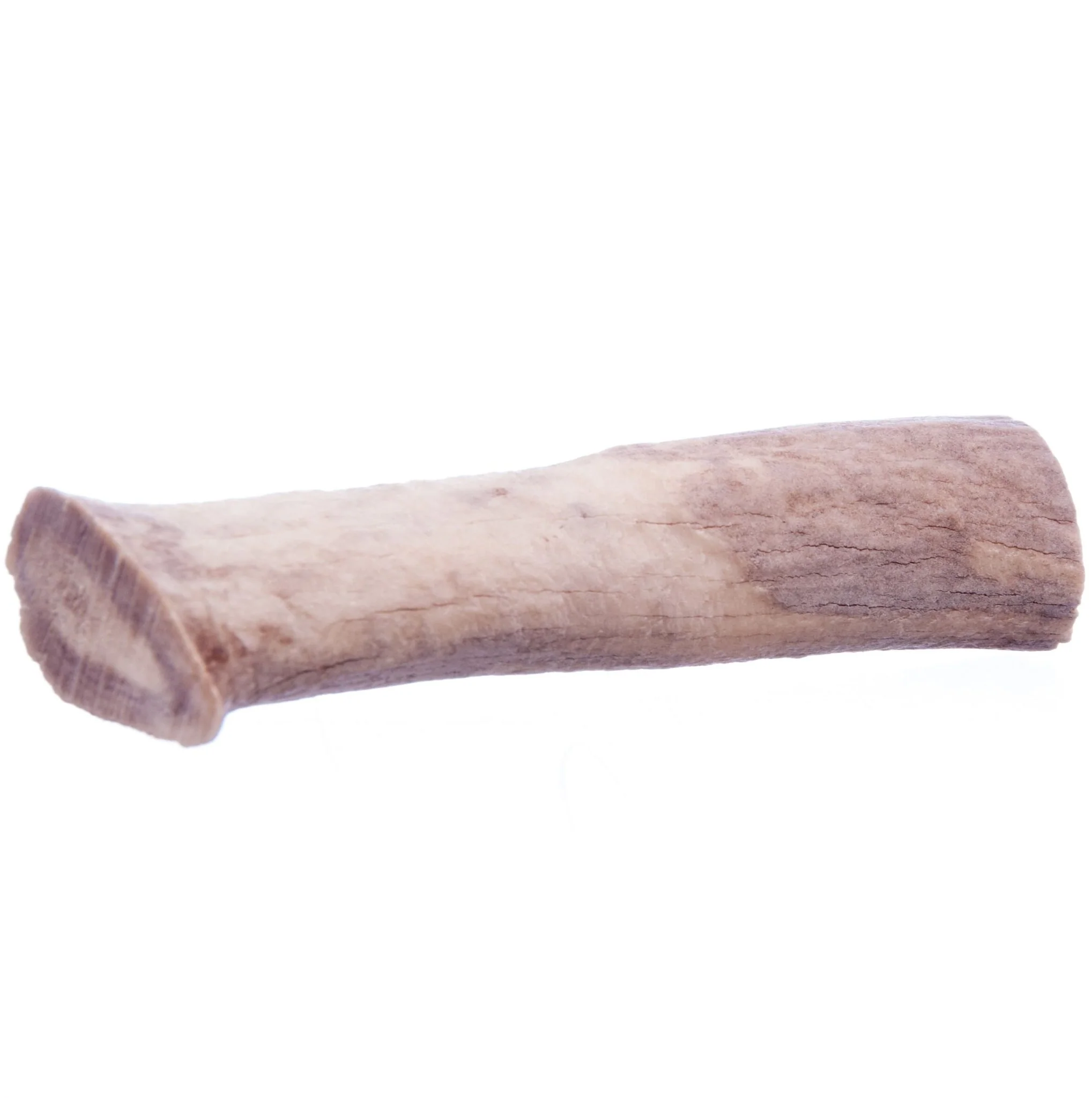 Antlerz - Buy Pet Shop