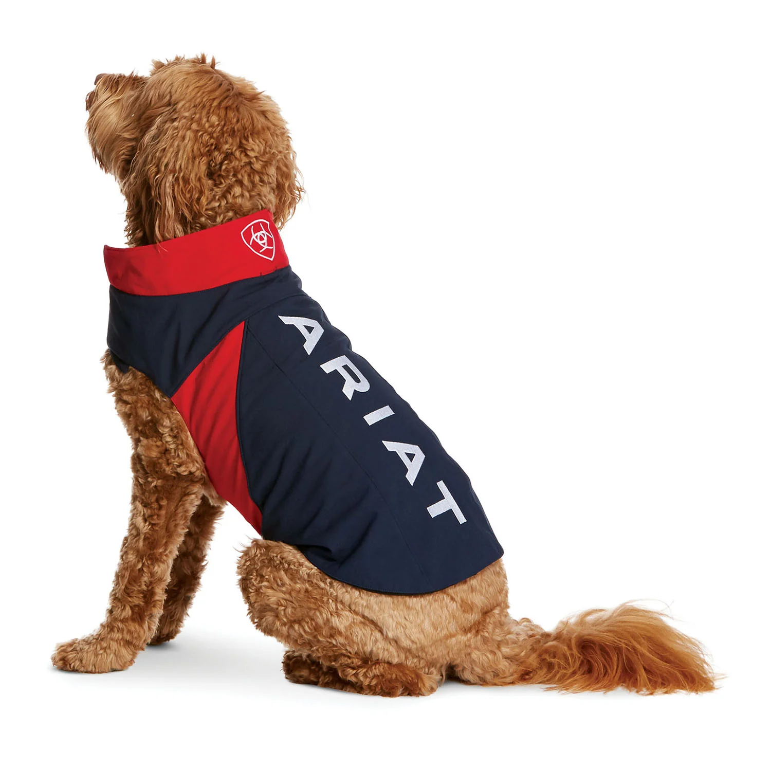 Ariat Team Softshell Dog Jacket, Navy/Red, Large - Buy Pet Shop