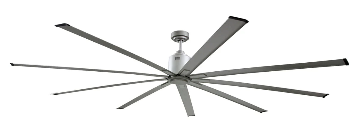 Indoor 6-Speed Ceiling Fan - Buy Pet Shop