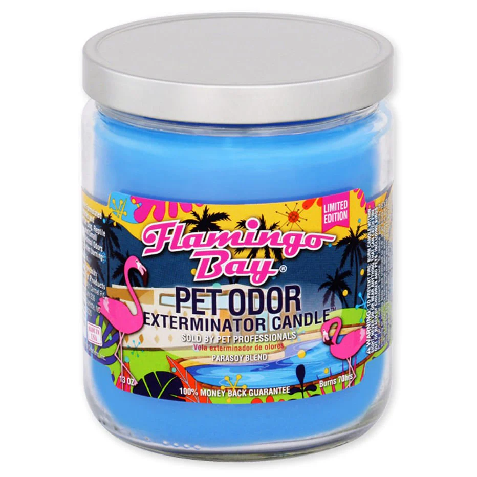 Pet Odor Exterminator Candle, Flamingo Bay, 13 oz - Buy Pet Shop