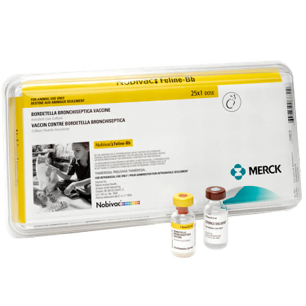 Nobivac Feline-Bb, 25 x 1 Dose - Buy Pet Shop