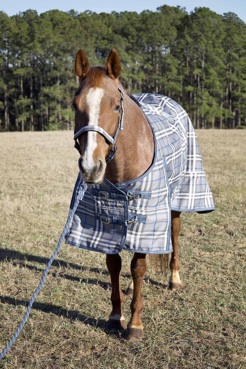 Poplar Head Refuge 1200 Denier Turnout Blanket, 240 Gram, Hamilton Blue & Slate Plaid - Buy Pet Shop