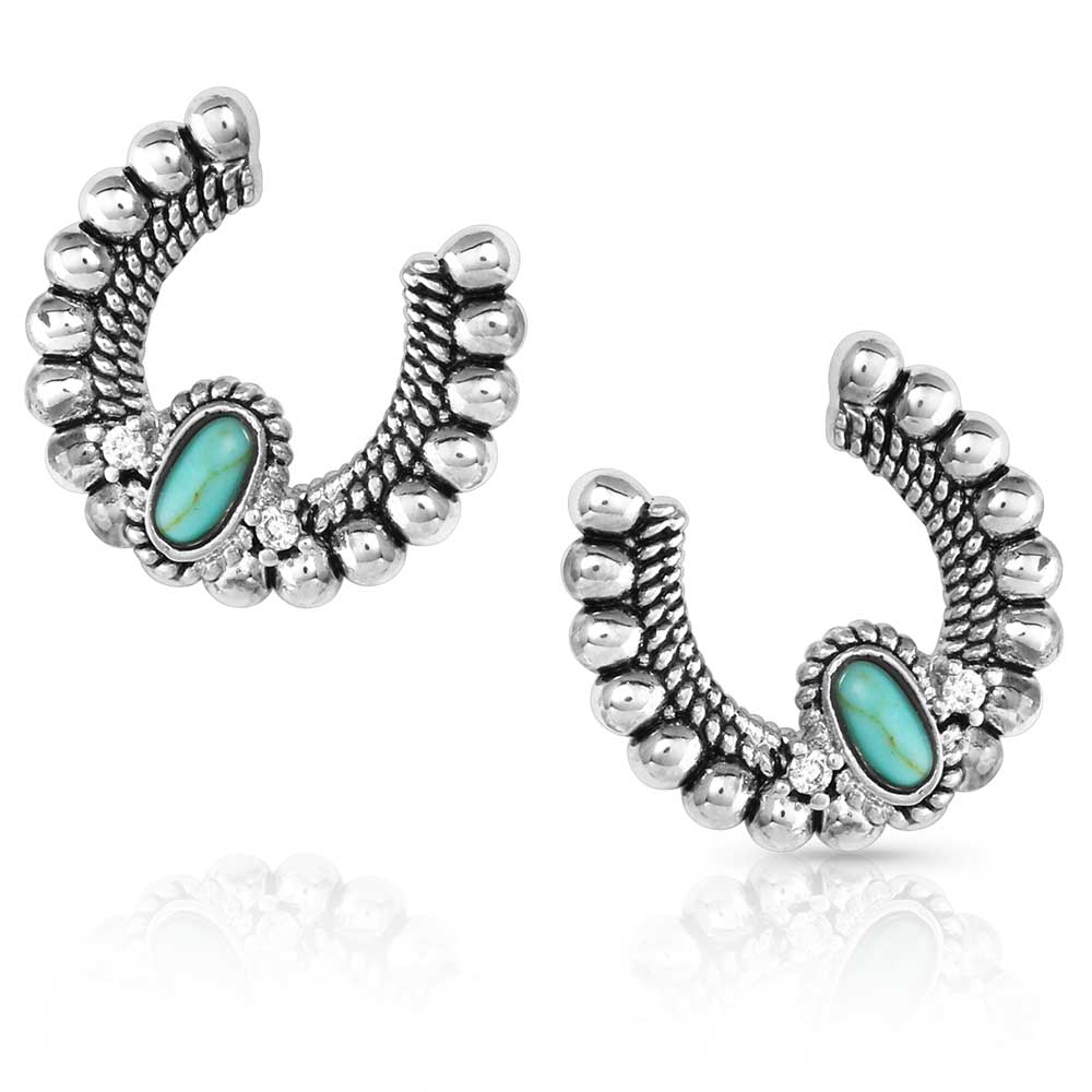 Lucky Roads Turquoise Earrings - Buy Pet Shop
