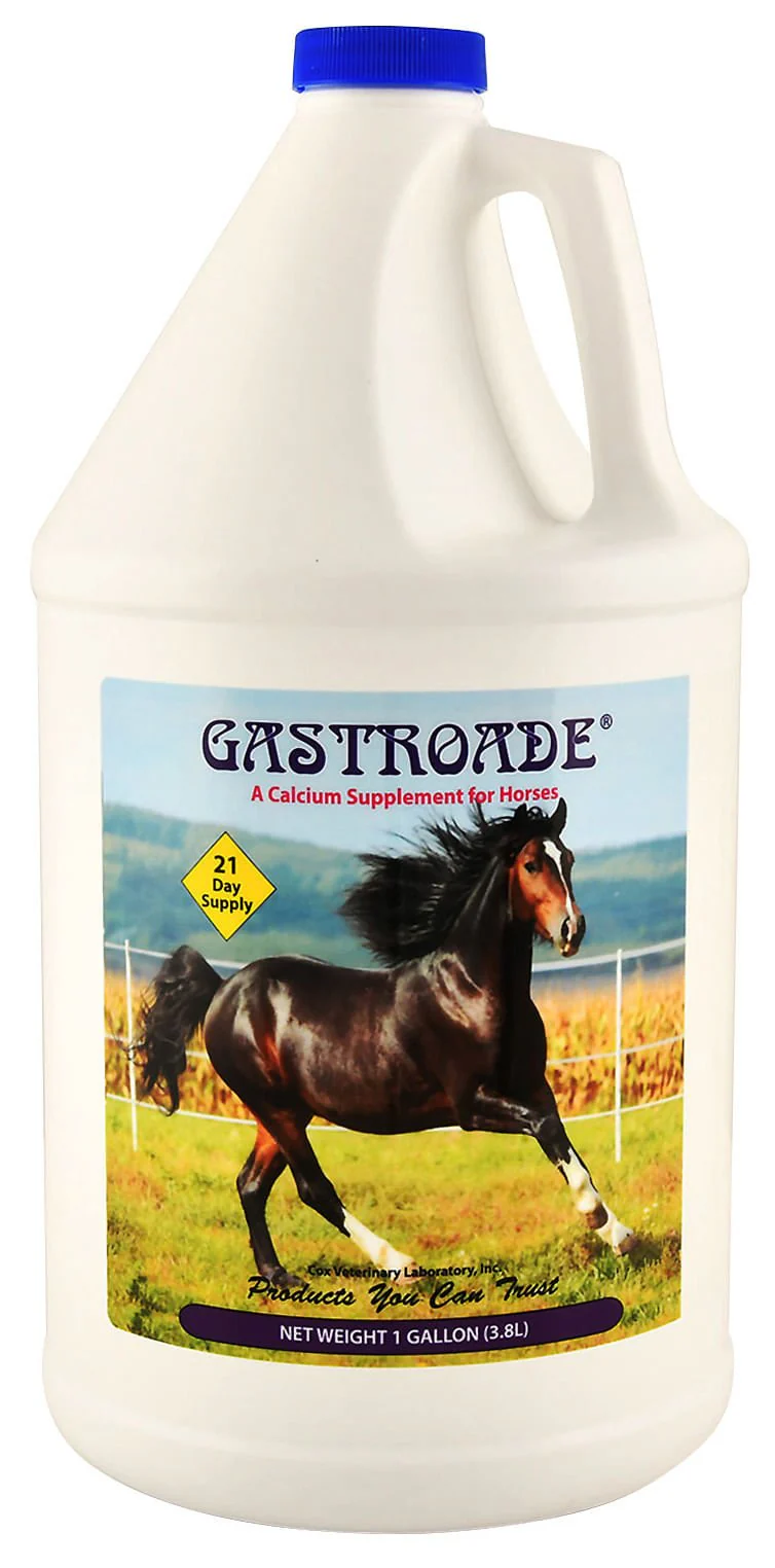 Gastroade Liquid GI Supplement for Horses - Buy Pet Shop