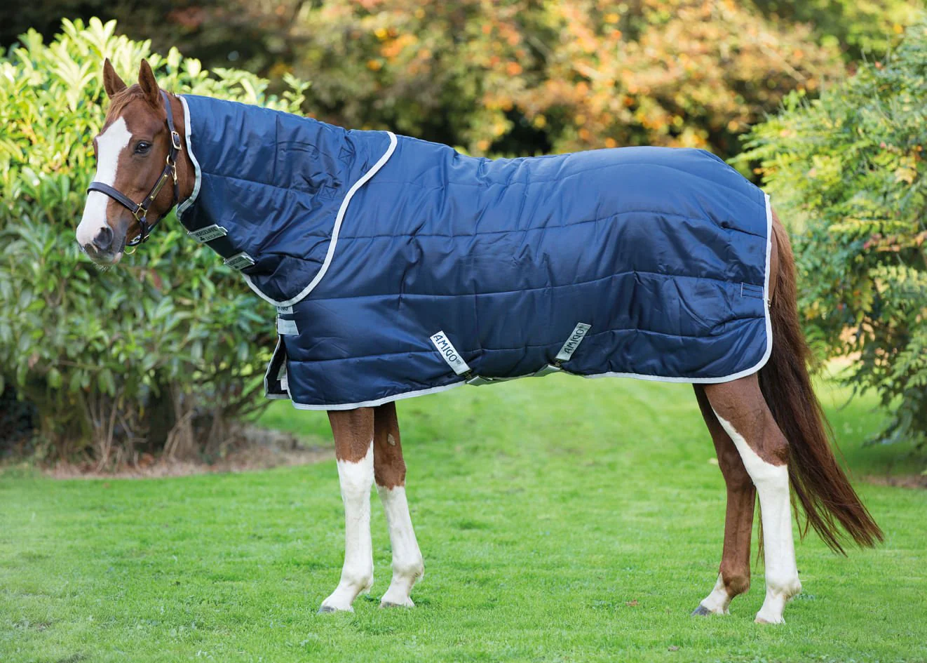Amigo Insulator Plus Horse Stable Blanket with 200 gram fill - Buy Pet Shop