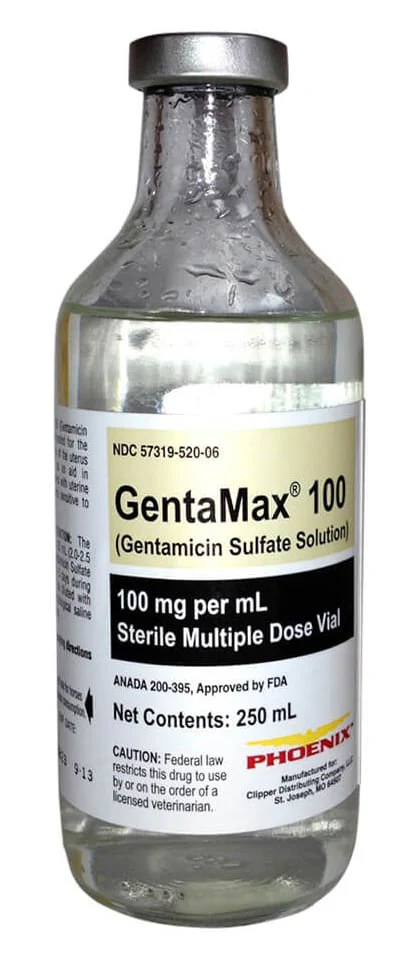 Rx GentaMax (gentamicin sulfate solution) 100 mg/mL Injection for Horses - Buy Pet Shop