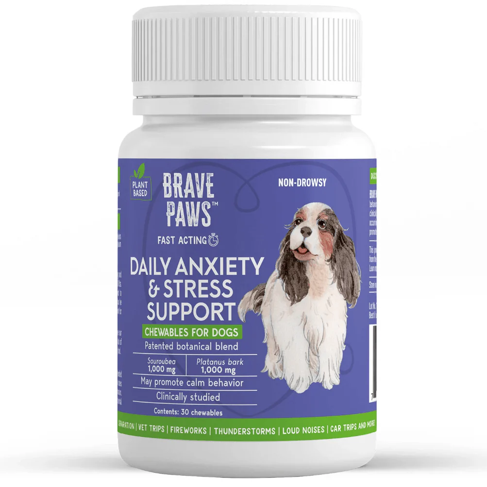 Brave Paws Anxiety & Stress Support Chewables, Beef, 30 ct - Buy Pet Shop