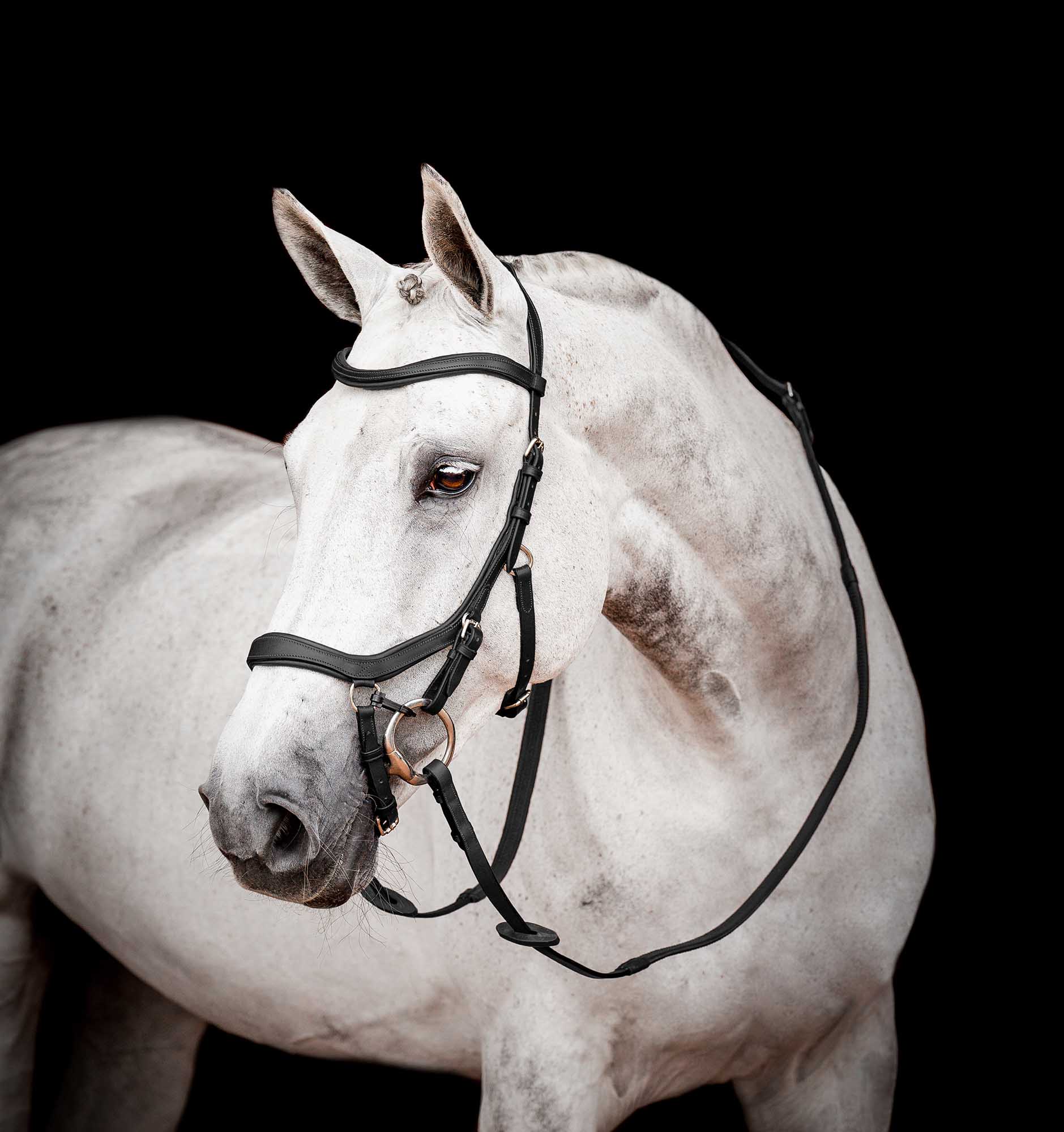 Micklem 2.0 Competition Bridle, Black - Buy Pet Shop