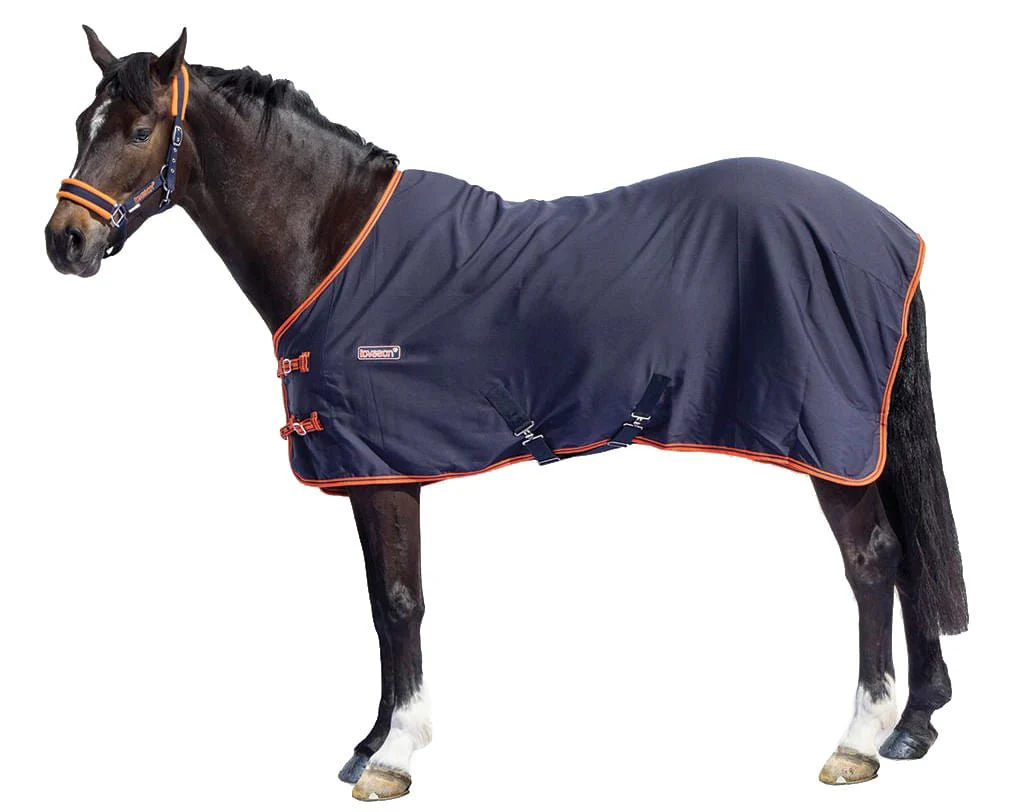 Loveson Stable Sheets, Navy/Navy/Orange - Buy Pet Shop