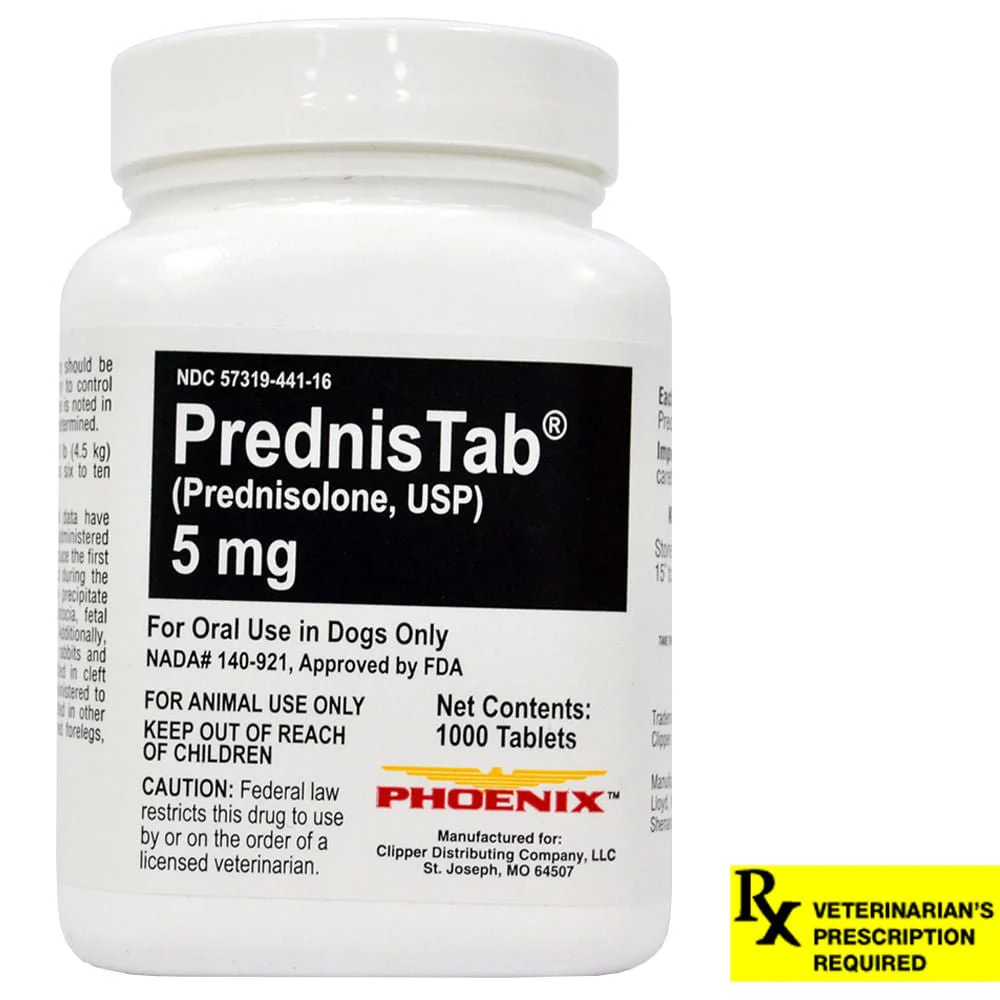 Rx PrednisTab (prednisolone) Oral Tablets - Buy Pet Shop