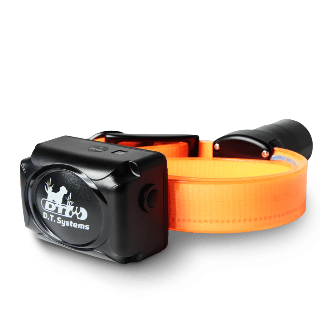 BTB Baritone Beeper Collar - Buy Pet Shop