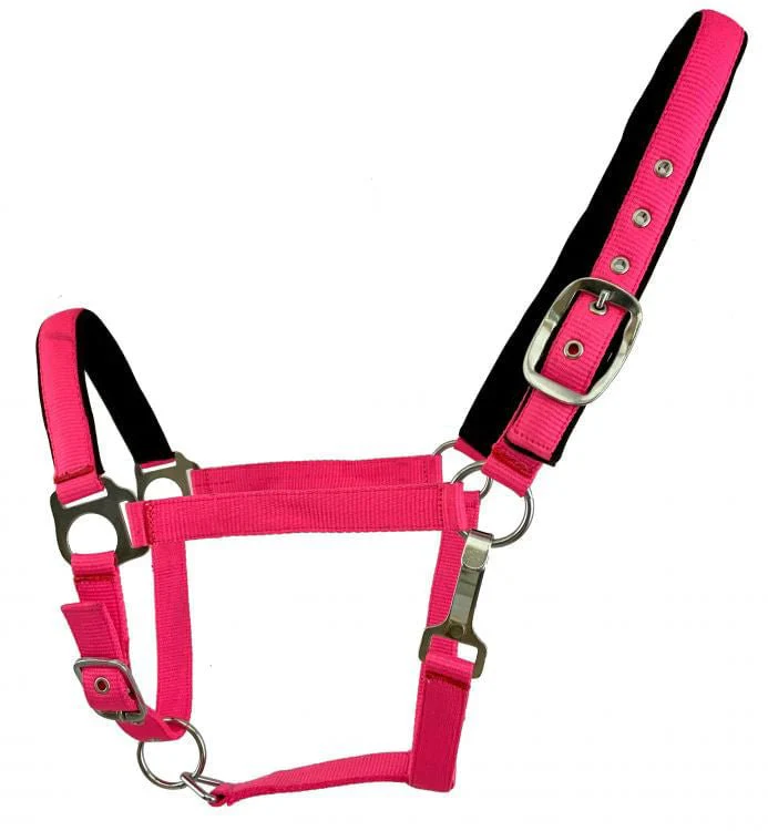 Showman Fluorescent Halters, Full - Buy Pet Shop