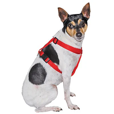 Adjustable Nylon Dog Harness, 3/8