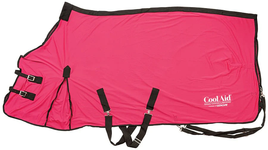 Coolcore Equine Cooling Blanket - Buy Pet Shop