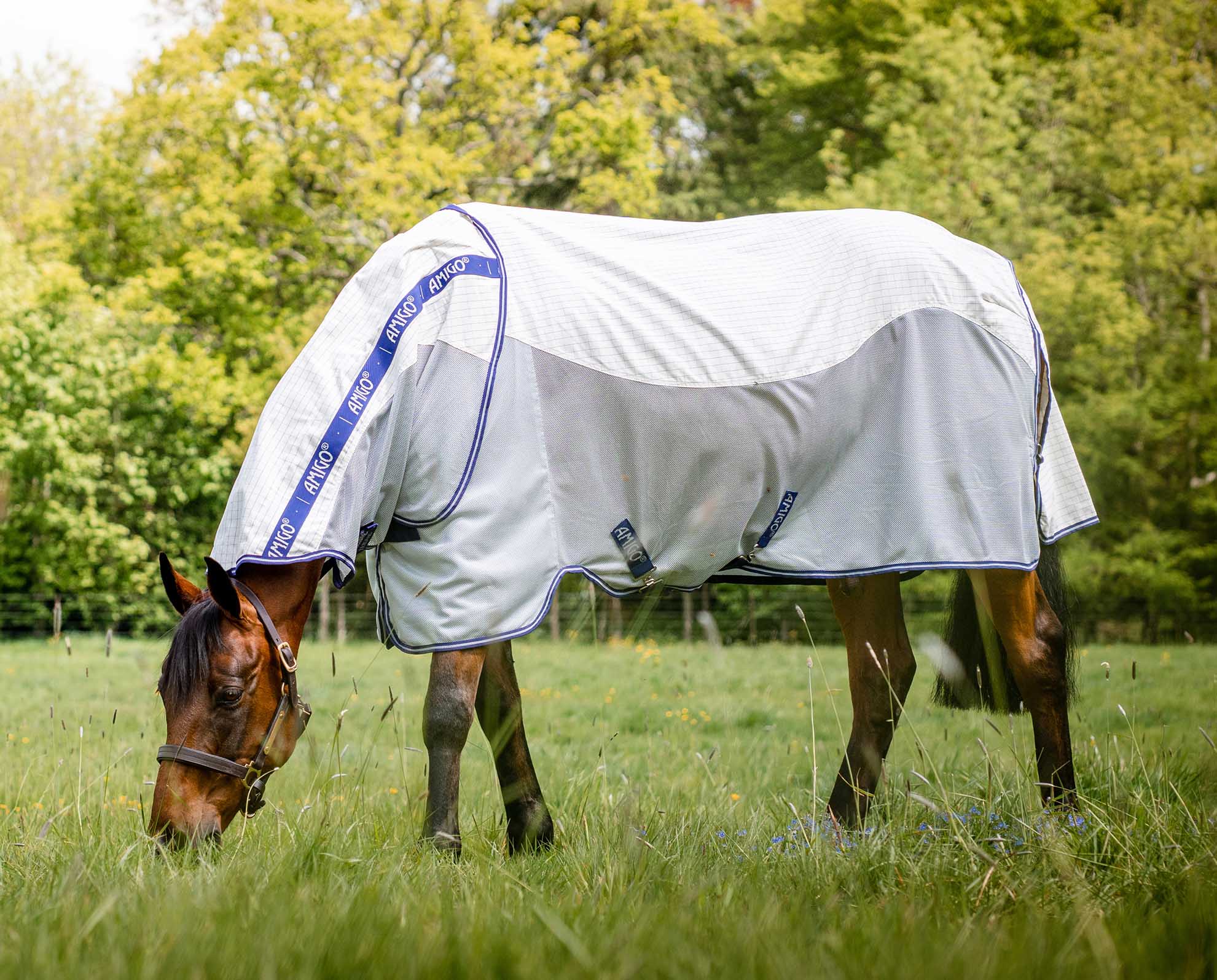 Amigo Airflow Horse Fly Sheet - Buy Pet Shop