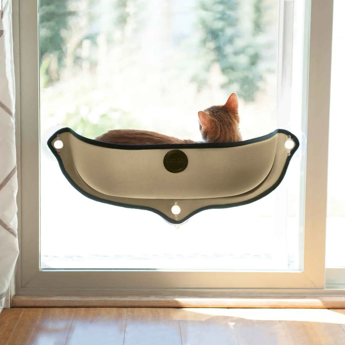 EZ Mount Window Bed Kitty Sill - Buy Pet Shop