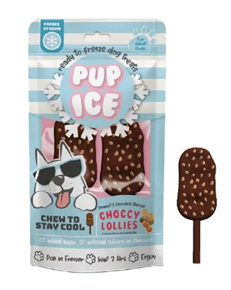 Pup Ice Choccy Lollies, Peanut Butter & Chocolate, 2pk - Buy Pet Shop