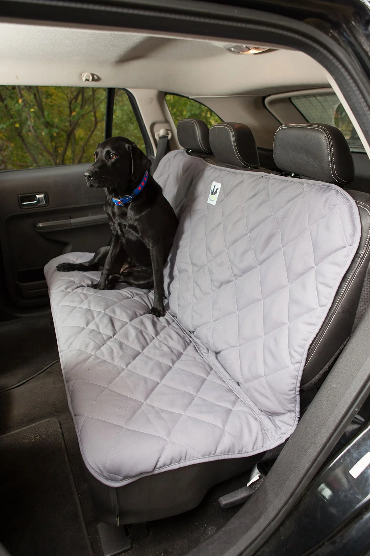 Back Seat Protector for Dogs, Large - Buy Pet Shop