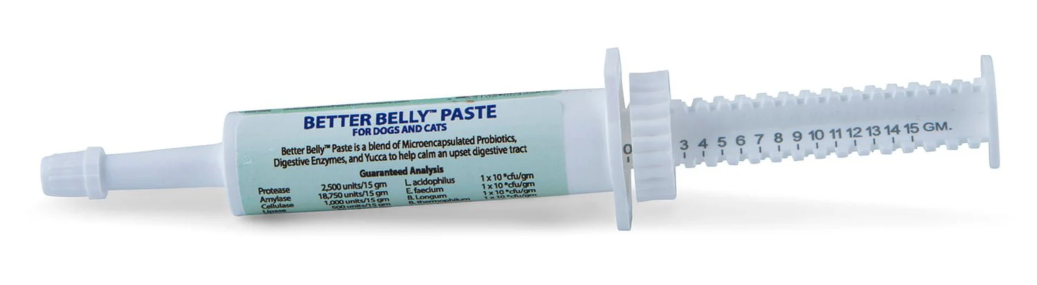 Prothrive Better Belly Paste, 15 gm - Buy Pet Shop