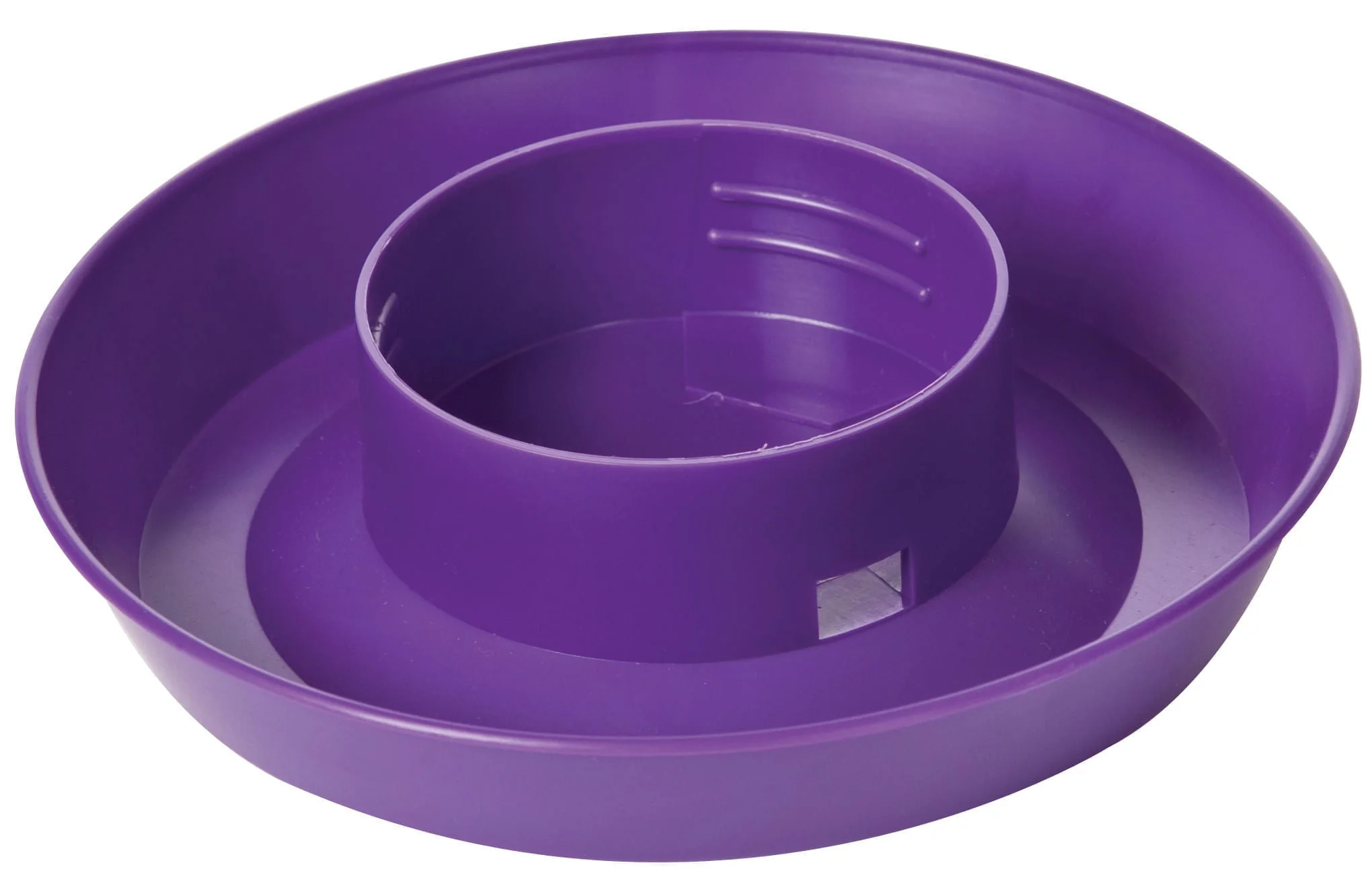 Little Giant Color Chick Waterer Base, Quart - Buy Pet Shop