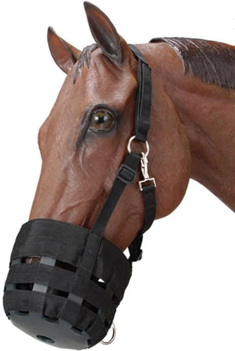 Nylon Horse Grazing Muzzle - Buy Pet Shop