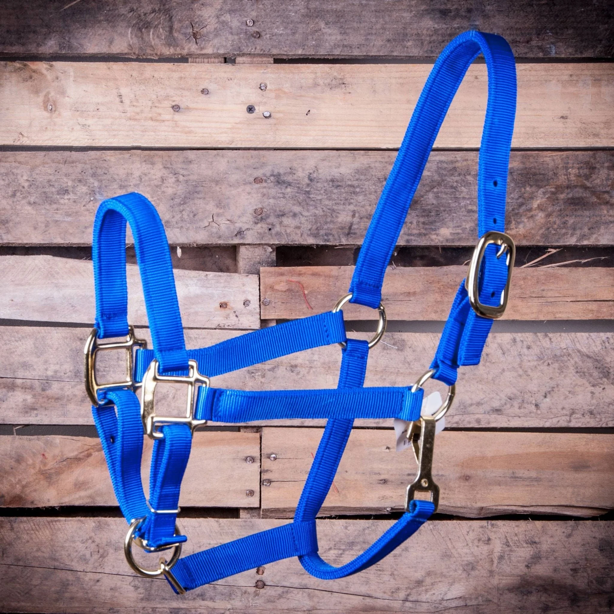 Adjustable Halter with Throat Snap - Buy Pet Shop