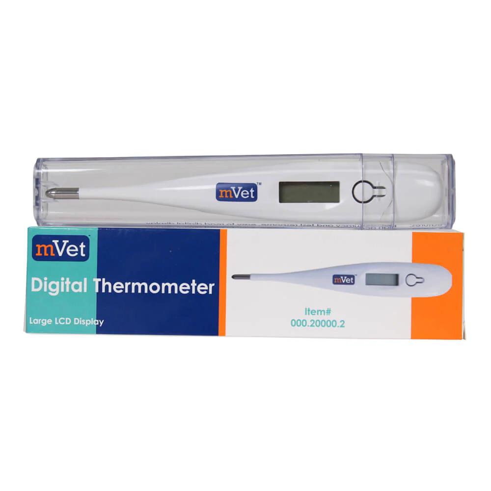 mVet Digital Thermometer - Buy Pet Shop