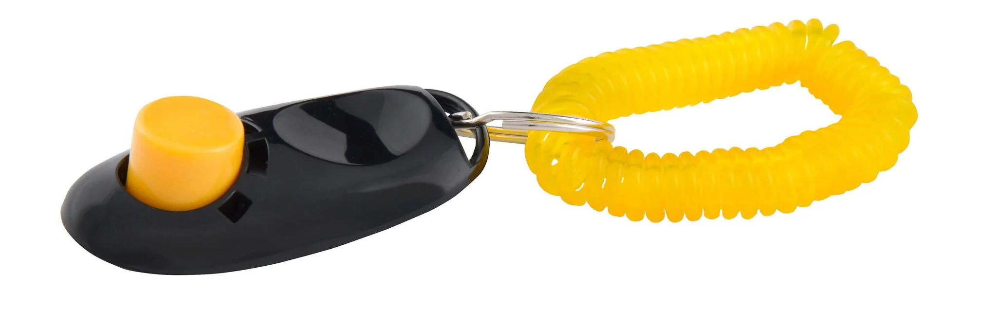 Pet Training Clicker - Buy Pet Shop