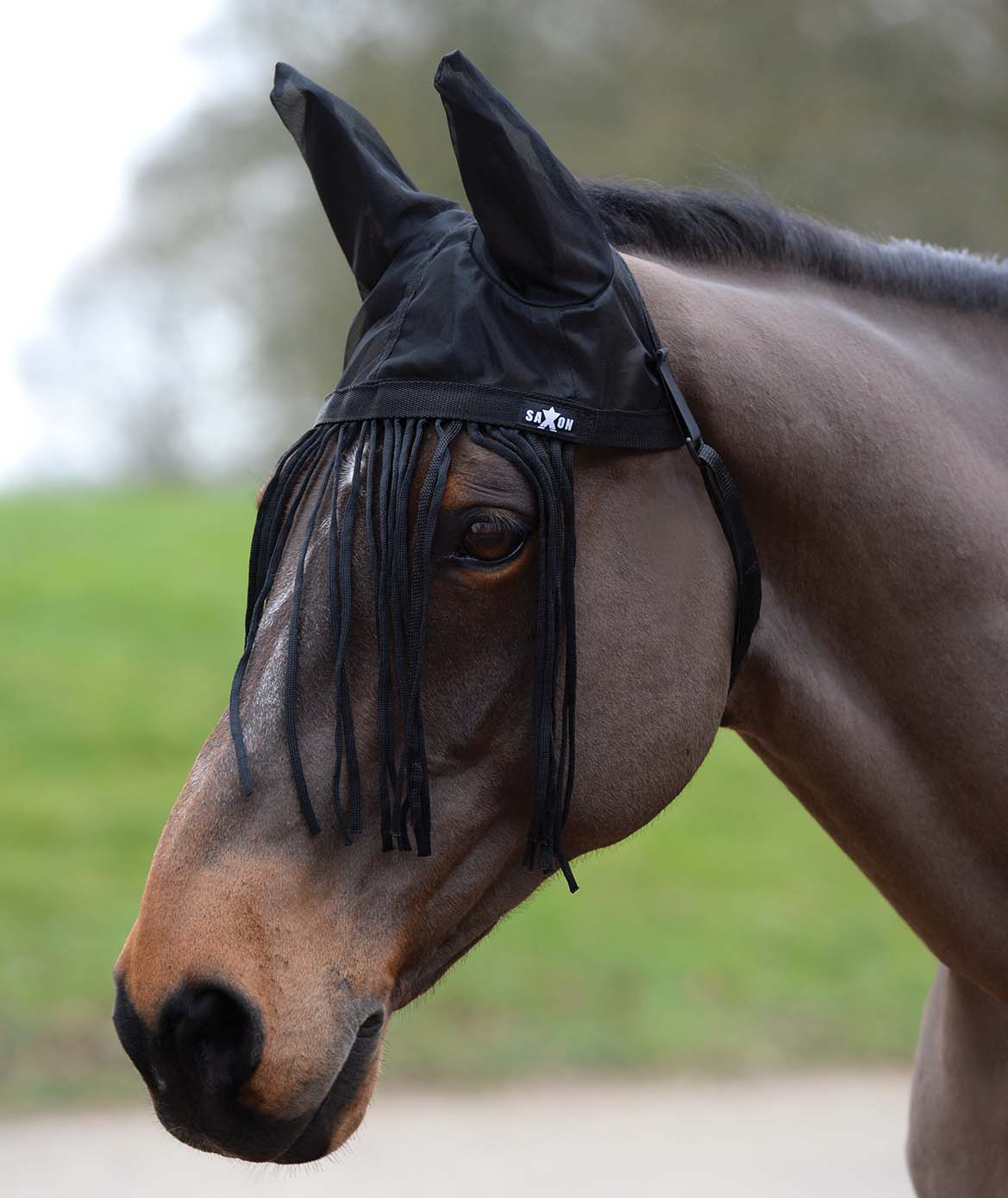Saxon Fly Fringe Bonnet for Horses with Ears, Black - Buy Pet Shop