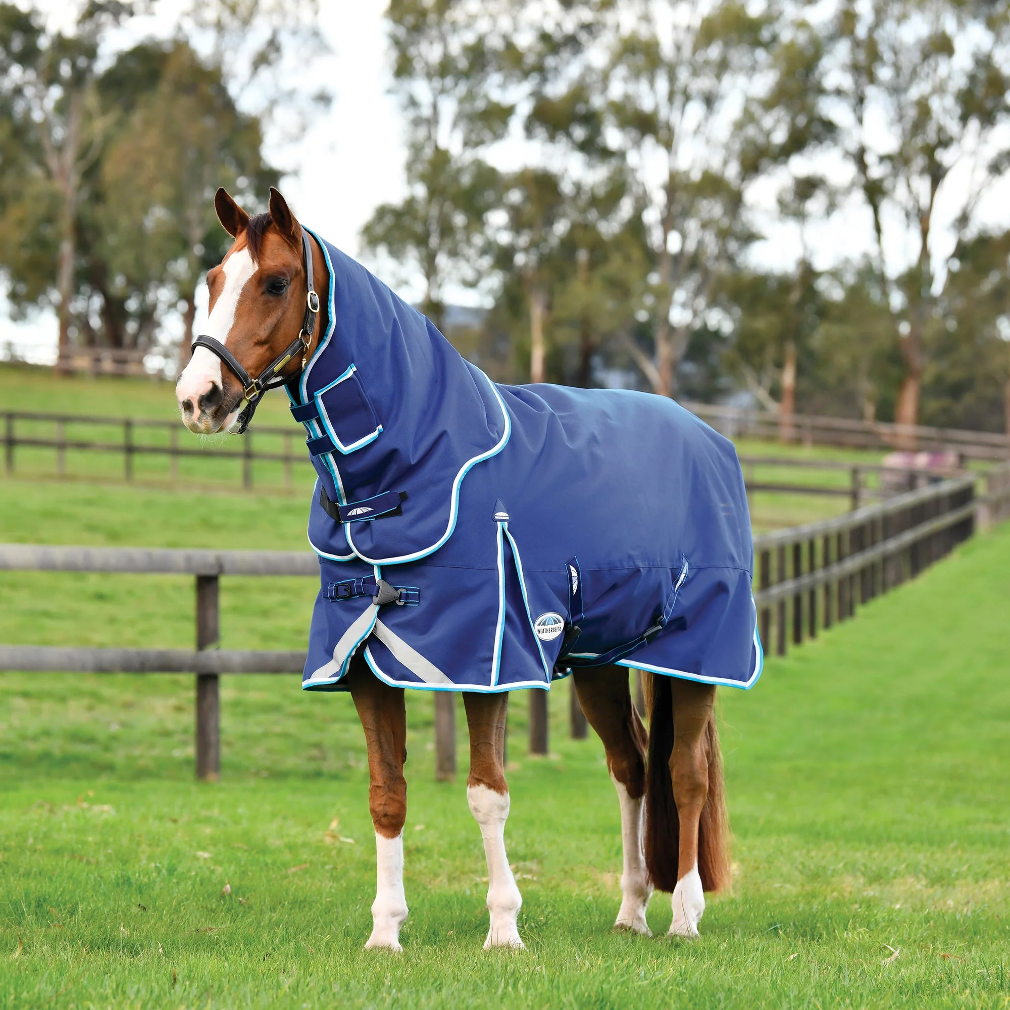 WeatherBeeta ComFITec Ultra Hardi Detach-a-Neck Turnout Blanket, Medium - Buy Pet Shop
