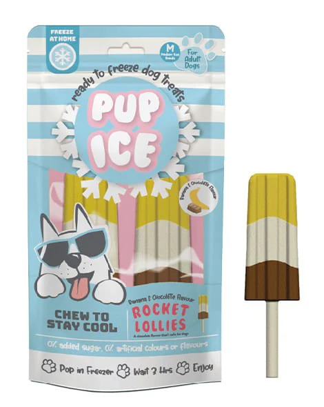 Pup Ice Rocket Lollies, 2pk - Buy Pet Shop