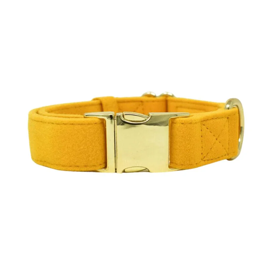 Pink Papyrus Nova Collar, Yellow - Buy Pet Shop