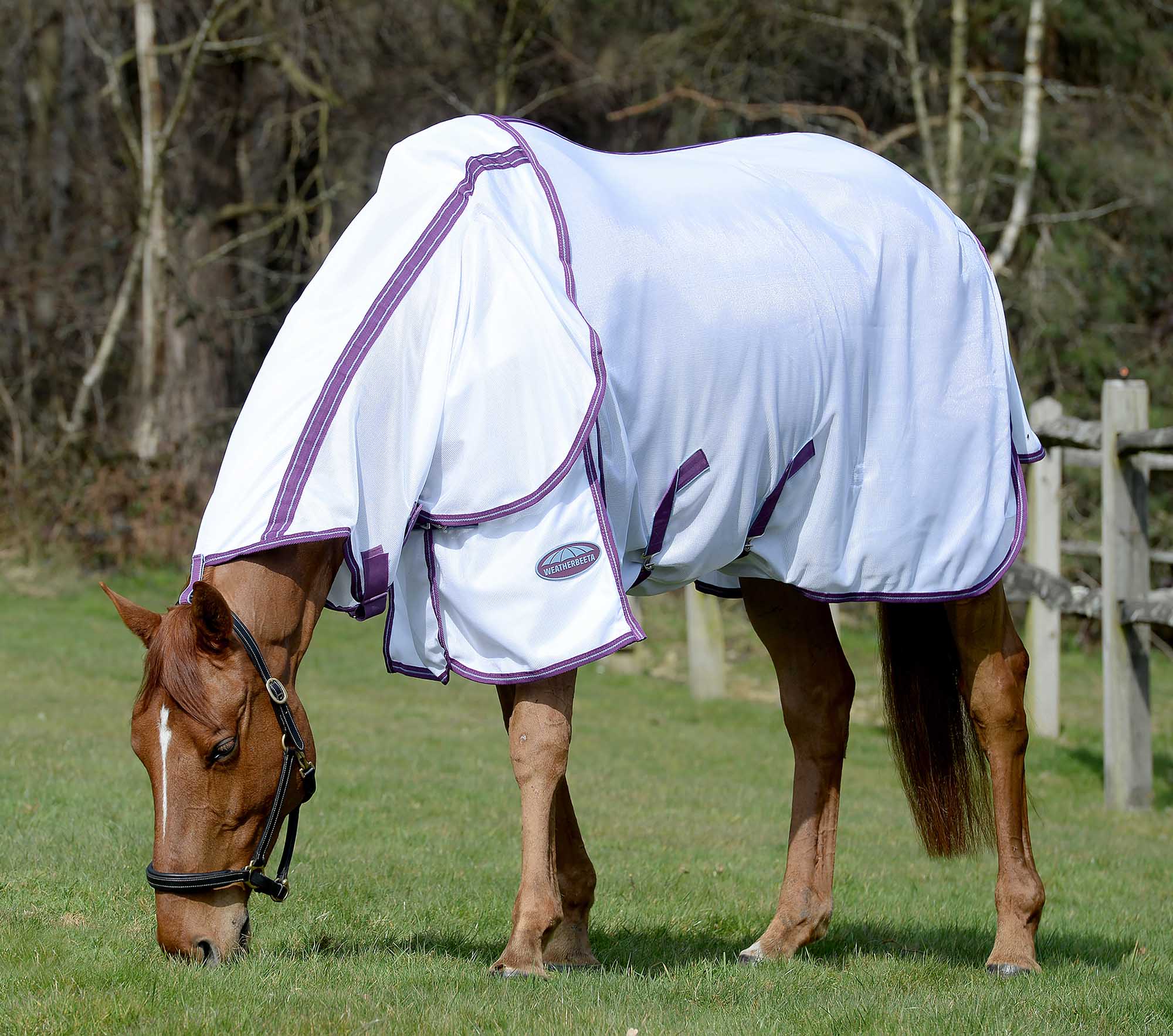 Weatherbeeta ComFITec Airflow II Detach-a-Neck Horse Fly Sheet - Buy Pet Shop