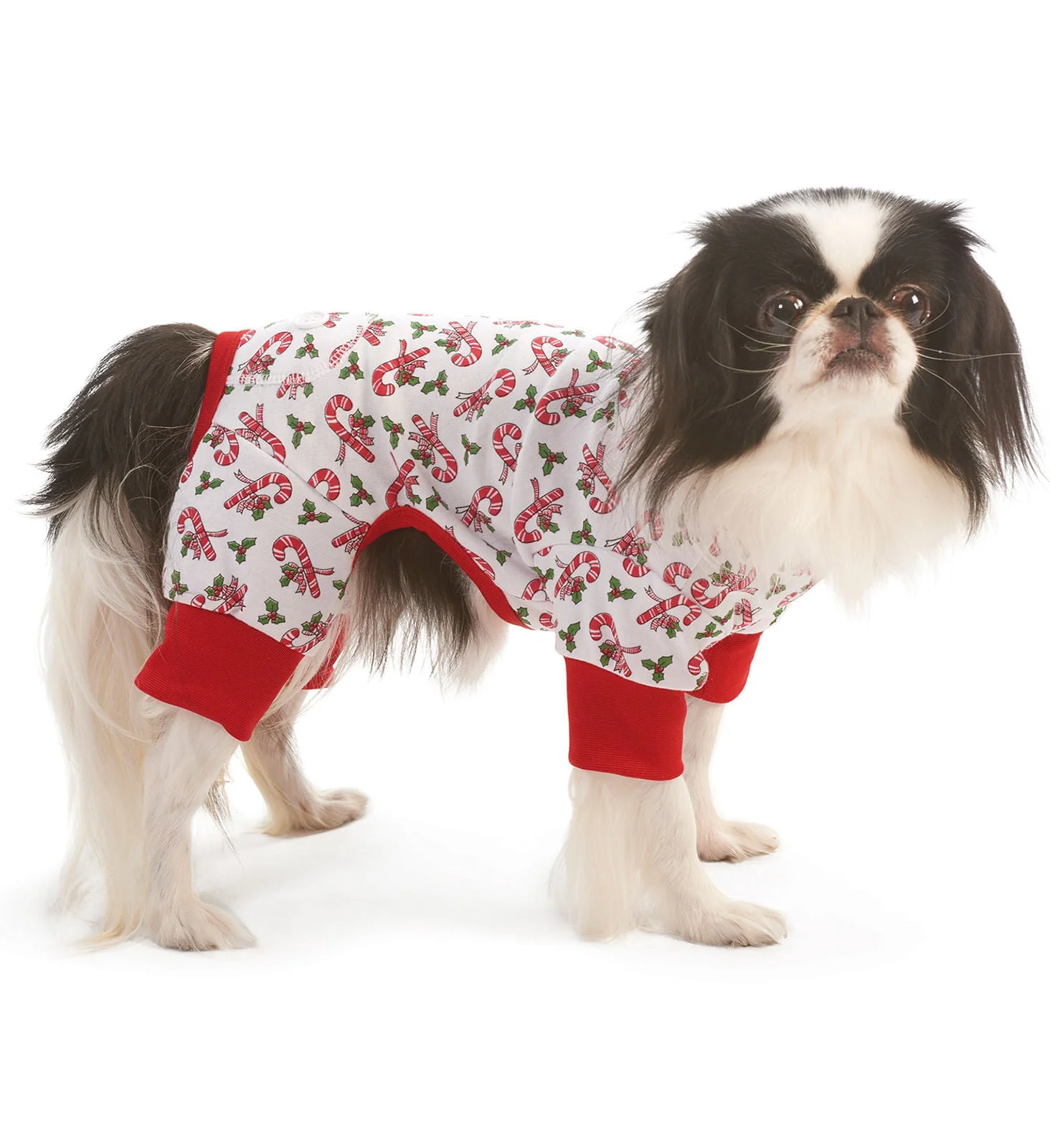 Dog Christmas Pajamas, Candy Cane - Buy Pet Shop