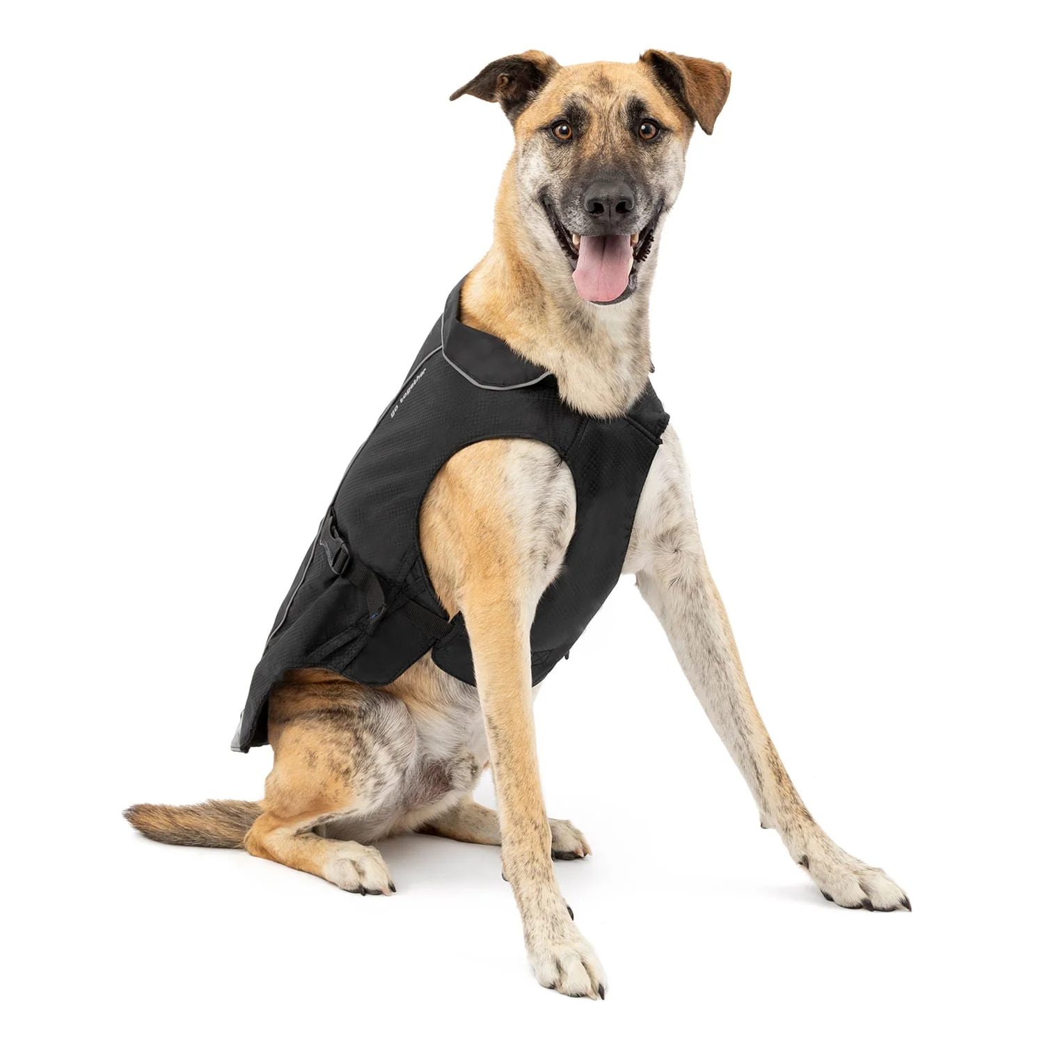 North Country Coat - Buy Pet Shop