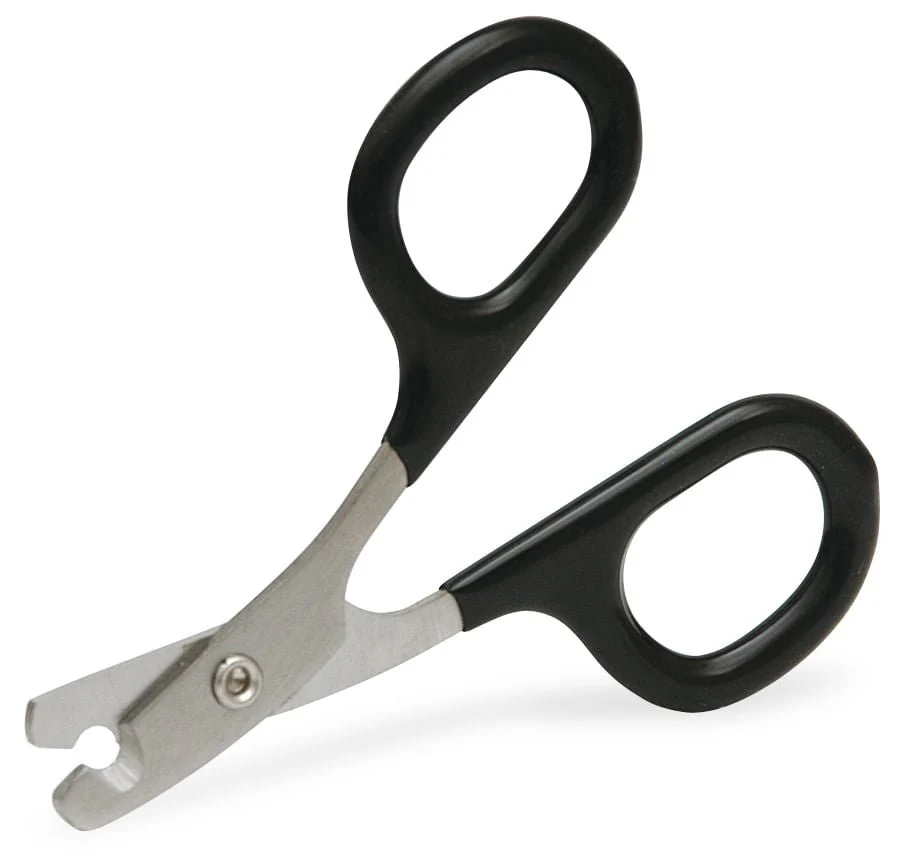 Cat Claw Scissors - Buy Pet Shop