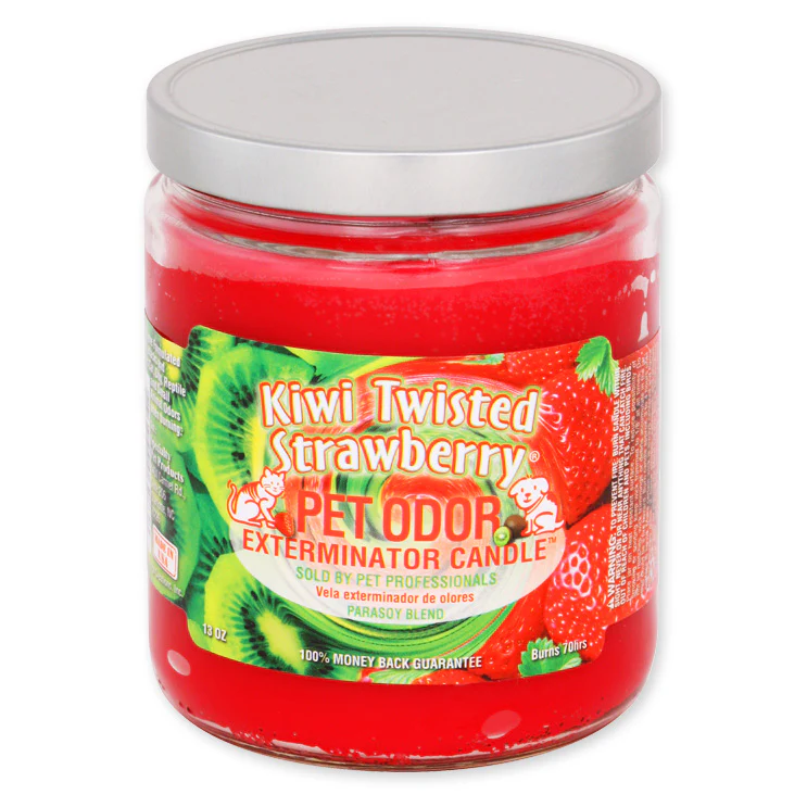 Pet Odor Exterminator Candle, Kiwi Twisted Strawberry, 13 oz - Buy Pet Shop