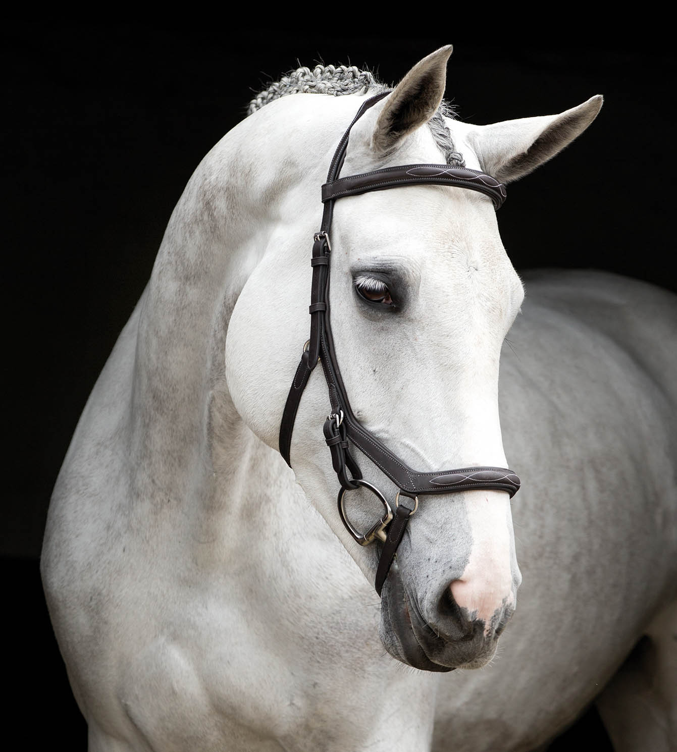 Rambo Micklem Deluxe Competition Bridle, Dark Havana - Buy Pet Shop