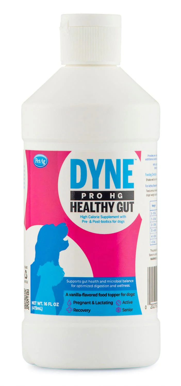 Dyne PRO HG Healthy Gut for Dogs - Buy Pet Shop