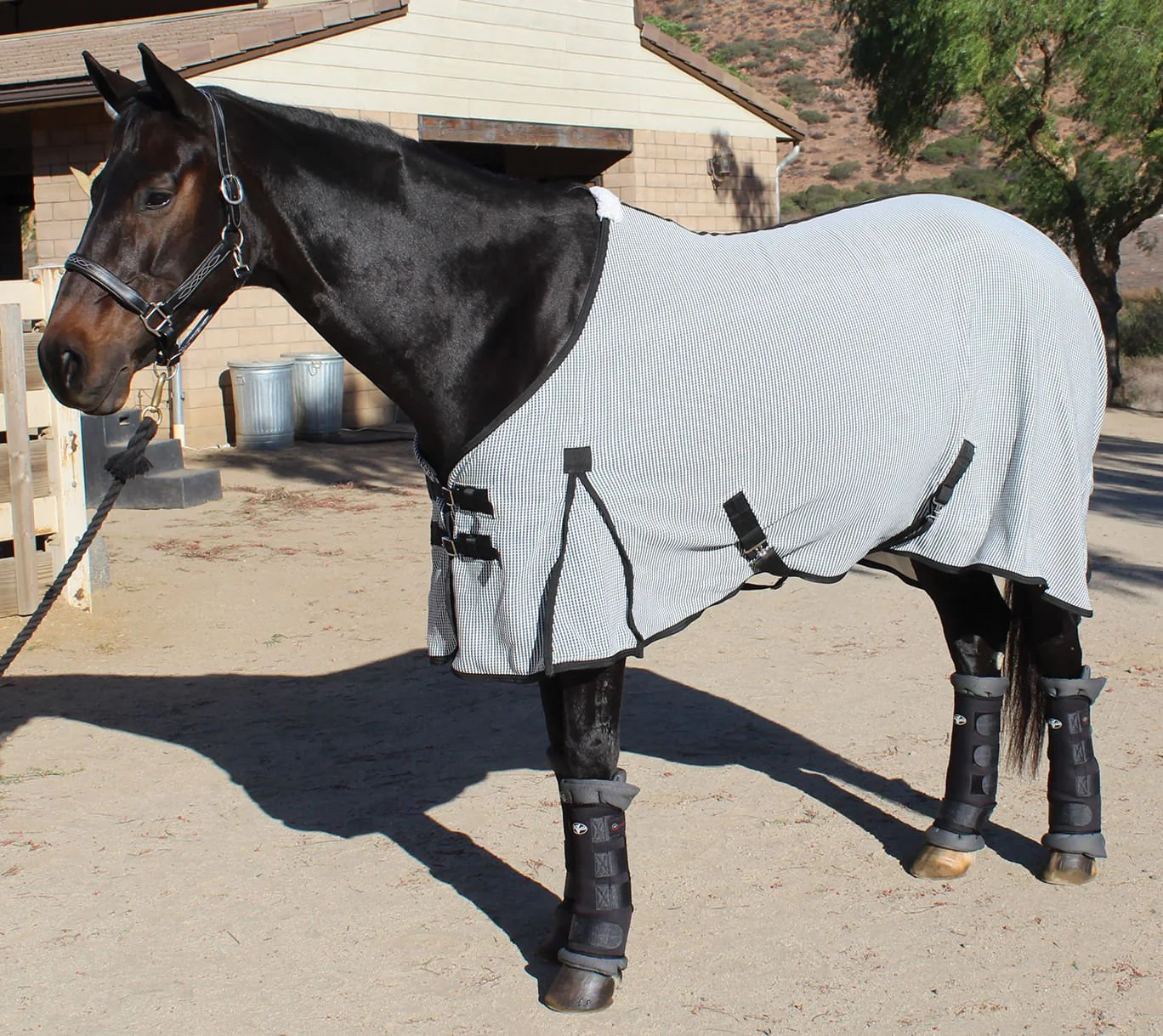 Professional's Choice Theramic Therapy Horse Sheet - Buy Pet Shop