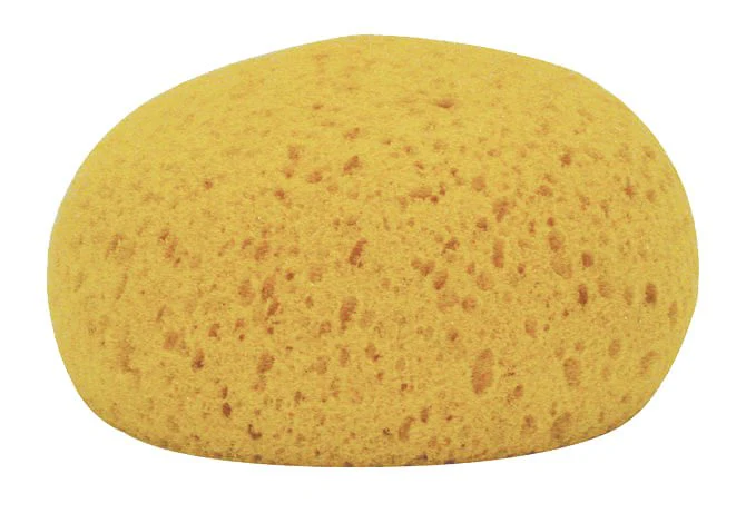 Decker Tack Sponges, 12pk - Buy Pet Shop