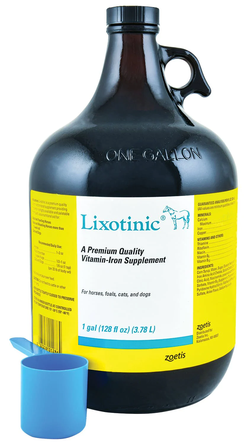 Lixotinic, Gallon (Glass) - Buy Pet Shop