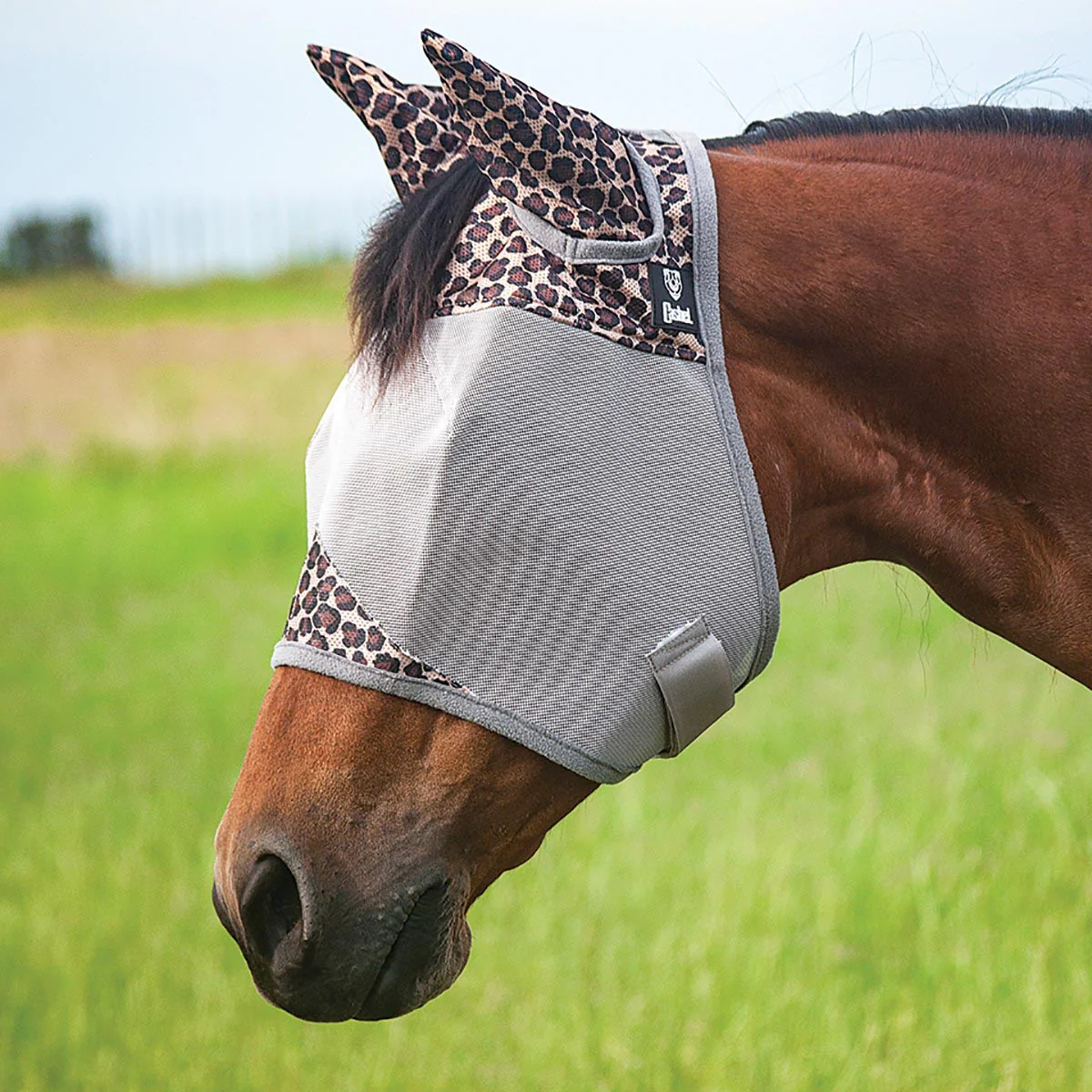 Crusader Fly Mask with Ears - Buy Pet Shop