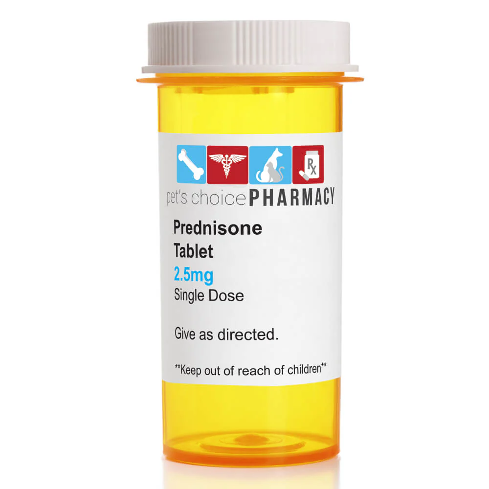 Rx Prednisone (Generic) Tablets for Dogs - Buy Pet Shop