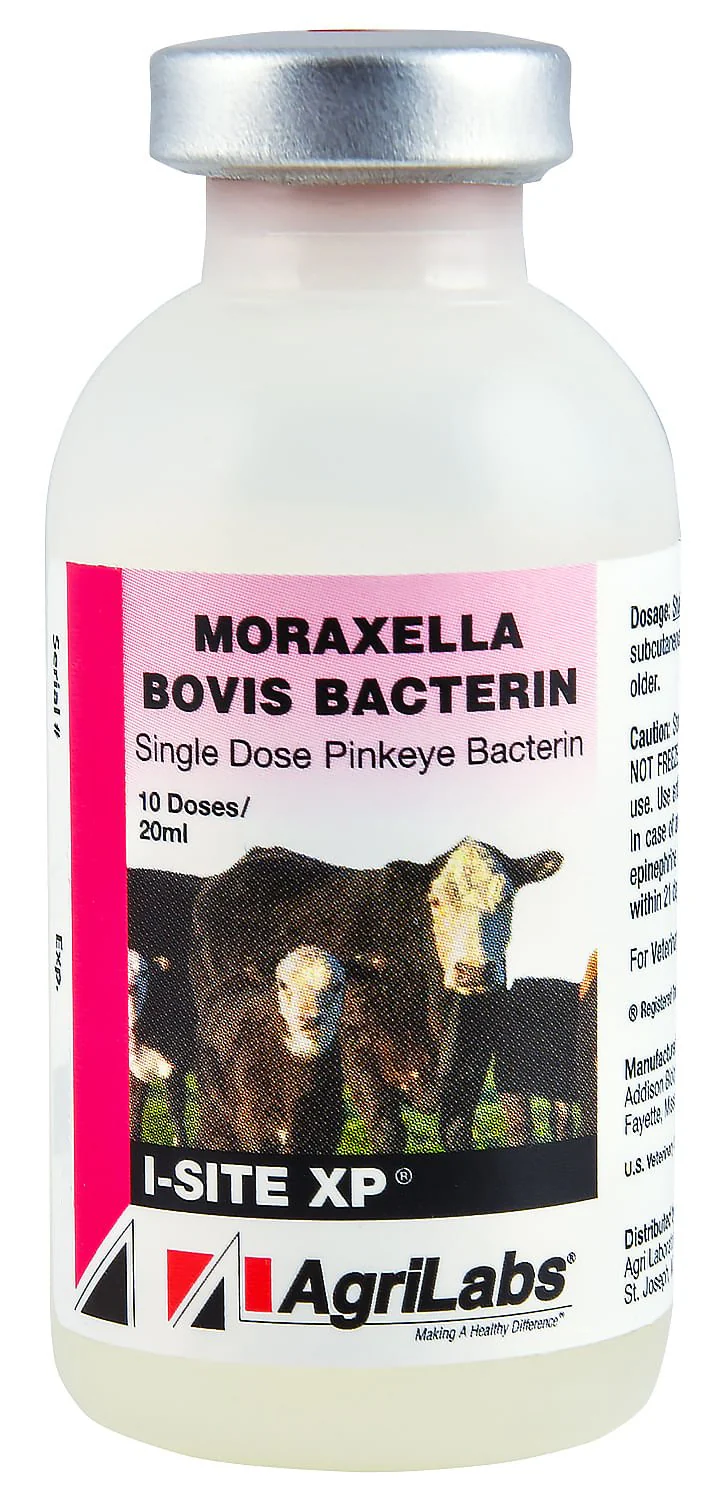 I-SITE XP - Buy Pet Shop