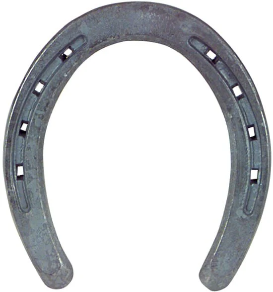 St. Croix Regular Weight Plain Horseshoes, Pair - Buy Pet Shop