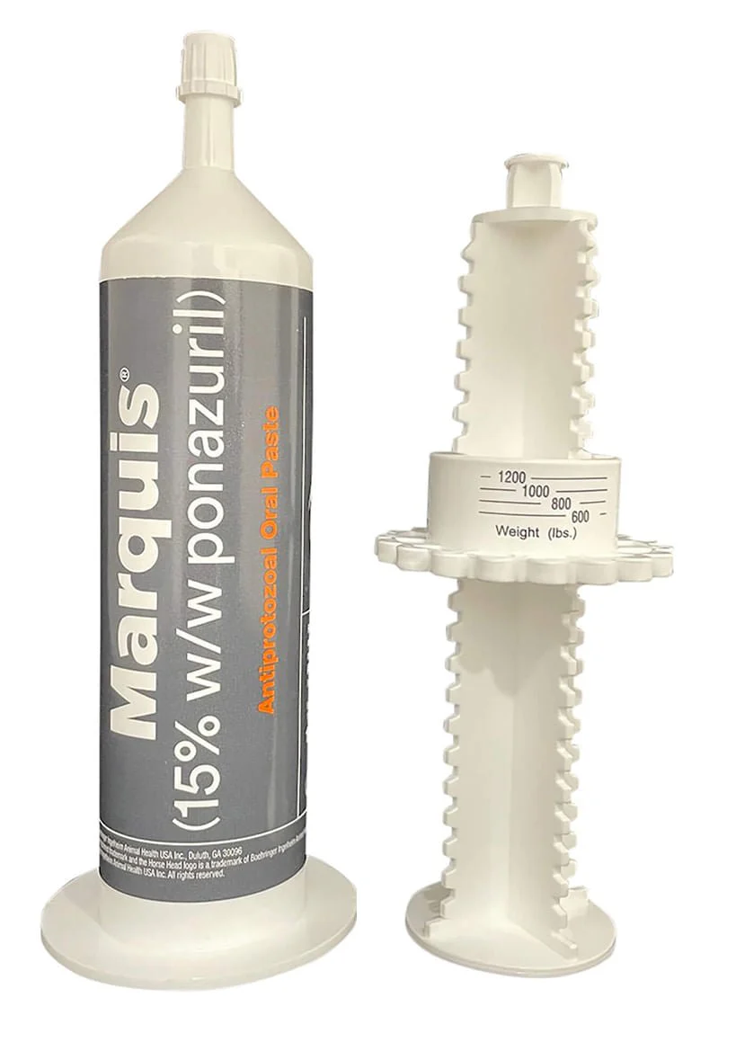Rx Marquis (15% w/w ponazuril) Antiprotozoal Oral Paste for Horses - Buy Pet Shop