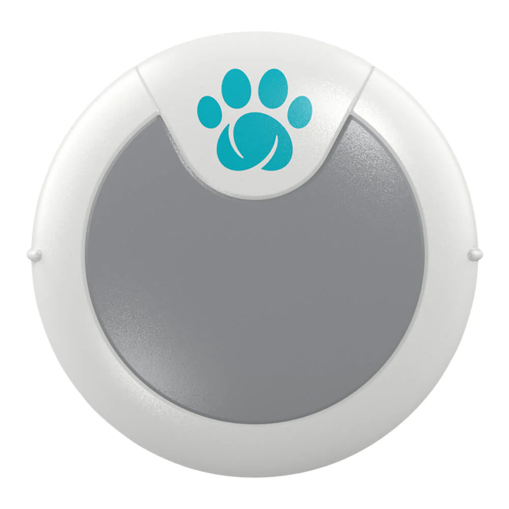 HomeAgain Animo Activity Monitor - Buy Pet Shop